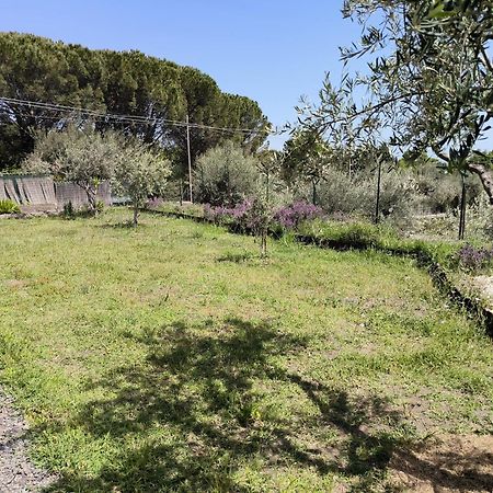 Villa Egle Belpasso, Villa Vacanza Con Piscina Eksteriør billede