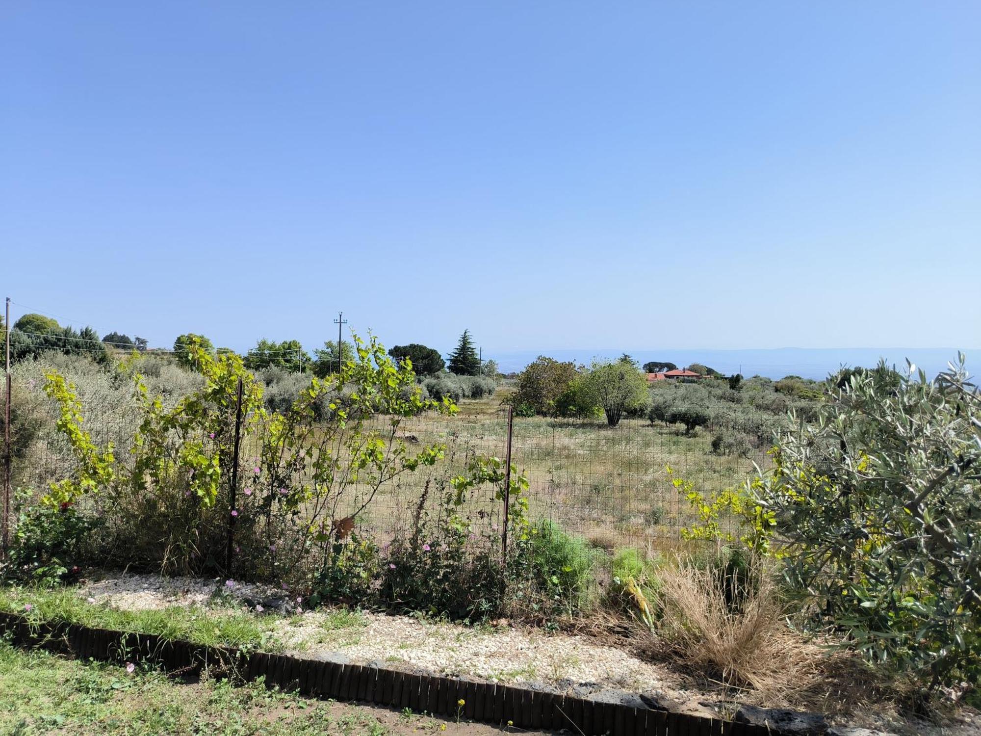 Villa Egle Belpasso, Villa Vacanza Con Piscina Eksteriør billede
